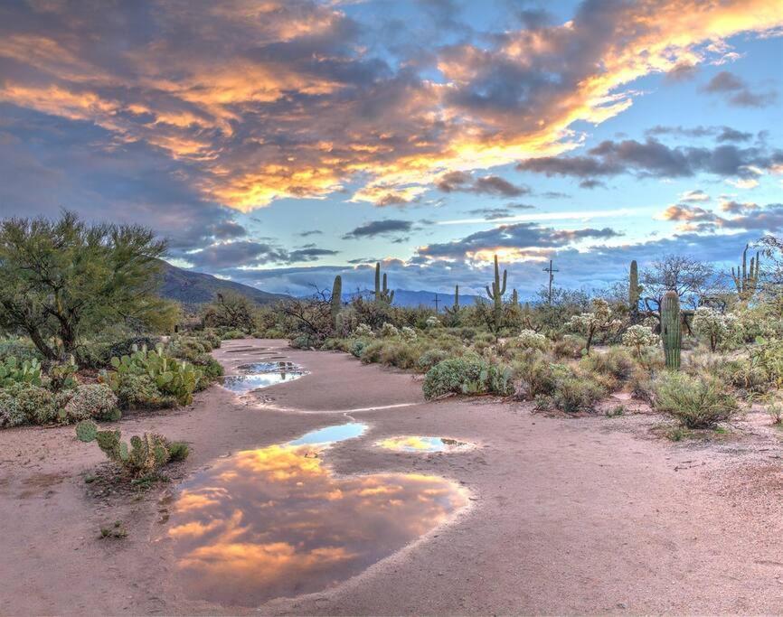 Silver Spur Homestead Luxury Glamping - The Cowboy Tombstone Exterior foto